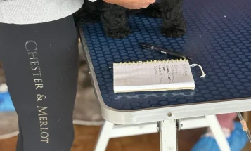 Cockapoo