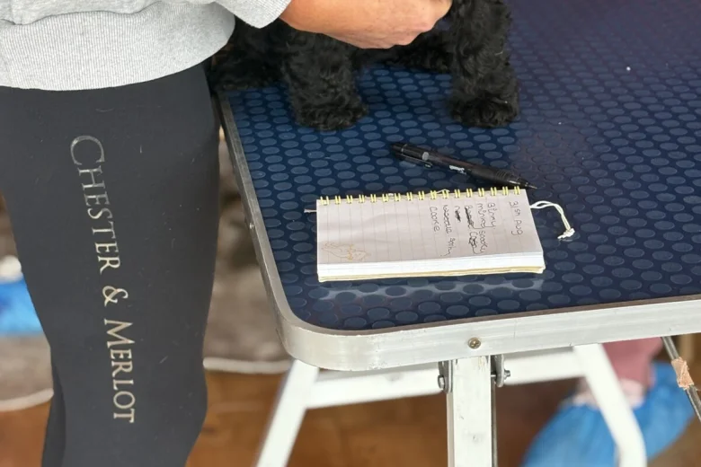 Cockapoo