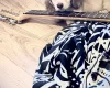 Dachshund (Miniature Long Haired)