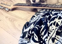 Puppy 3