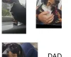 Dachshund (Miniature Smooth Haired)