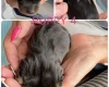 Dachshund (Miniature Smooth Haired)