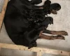 Doberman