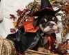 English Bulldog