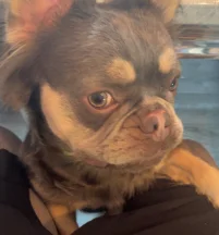 Tyson