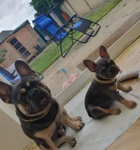 Pablo