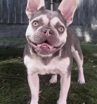 Narla