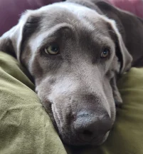 Nina