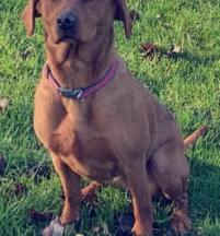 Winnie