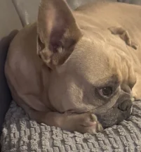Minnie
