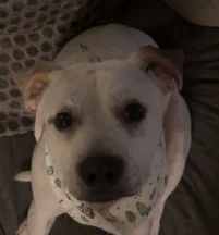 Milo