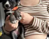 Mixed Breed