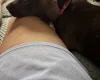Mixed Breed