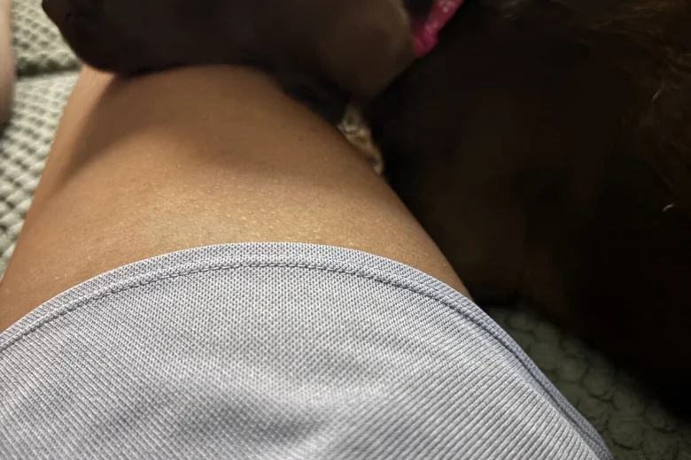 Mixed Breed