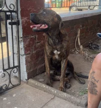 Capone