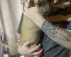 Presa Canario