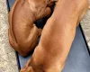 Rhodesian Ridgeback