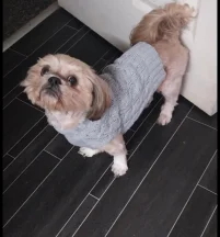 Boo