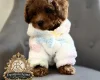 Toy Poodle