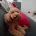 Cockapoo