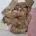 Cockapoo