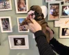 English Bulldog
