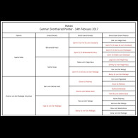 German Shorthaired Pointer