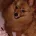 Pomchi
