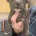 Staffordshire Bull Terrier