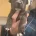 Staffordshire Bull Terrier