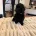 Toy Poodle