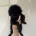 Toy Poodle