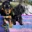 Cocker Spaniel (Show)