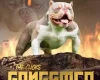 American Bulldog