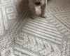Poochon