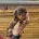 Dachshund (Smooth Haired)