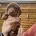 Dachshund (Smooth Haired)