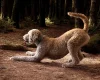 Bernedoodle