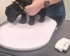 Cavapoo