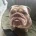 English Bulldog