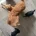 Cavapoo