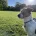 Jack Russell