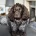Cocker Spaniel (Working)