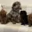 Miniature Poodle