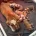 Dorset Olde Tyme Bulldogge