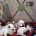 Parson Russell Terrier