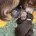 Cavapoo