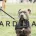 Staffordshire Bull Terrier