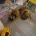 Pomchi