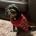 Cavapoo